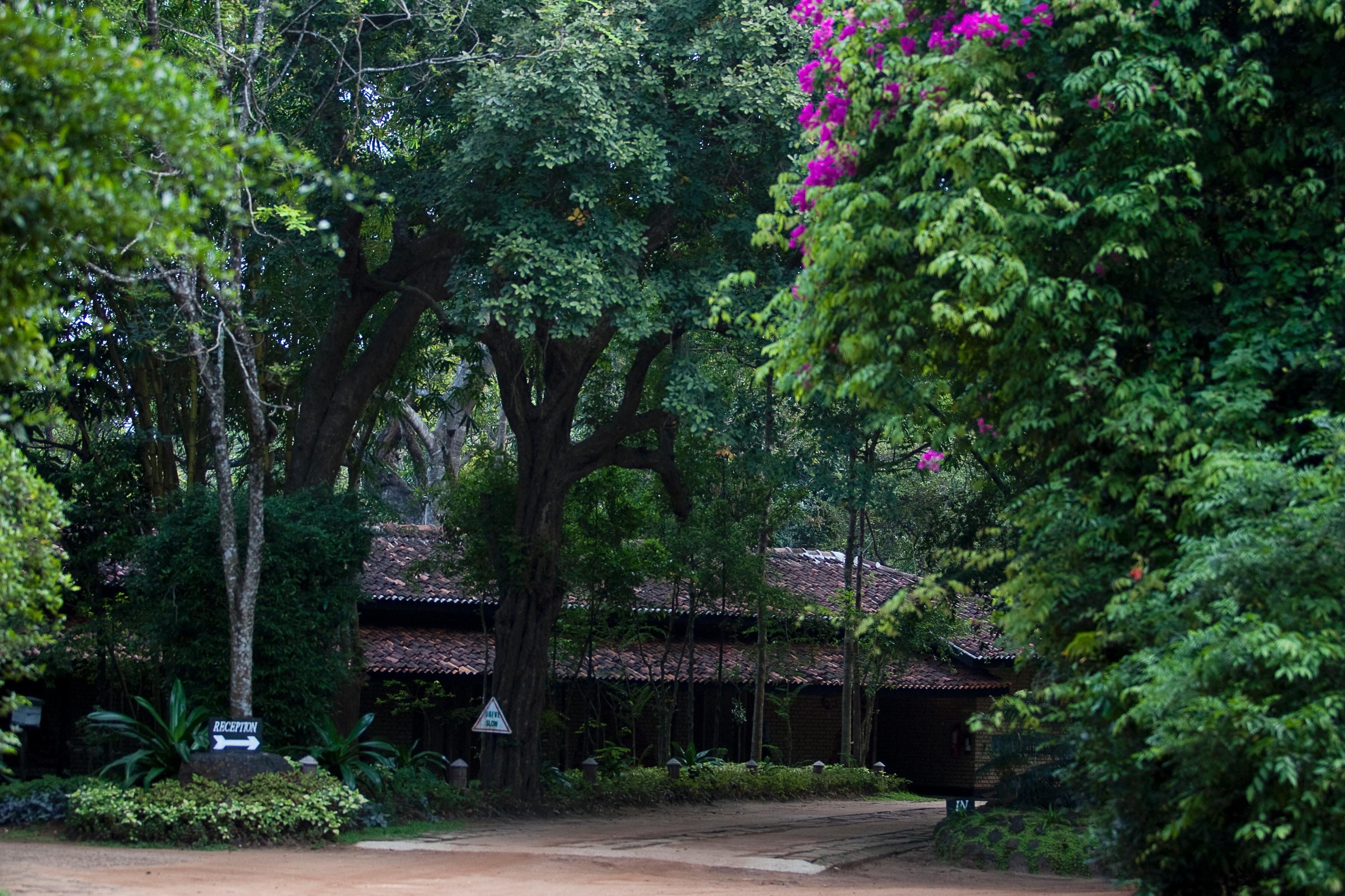 Hotel Sigiriya Exterior photo